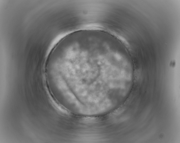 X0000091531470200709141425