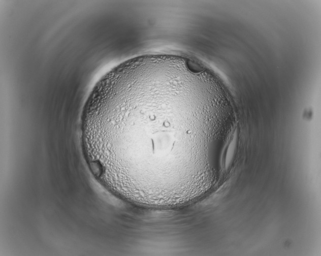 X0000091531471200709141425