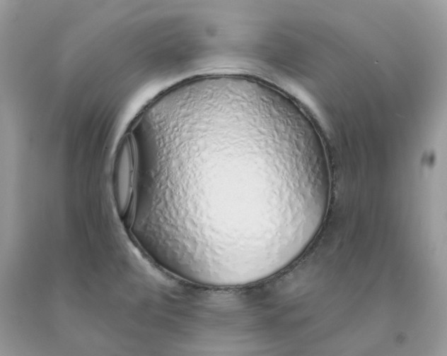 X0000091531472200709141425