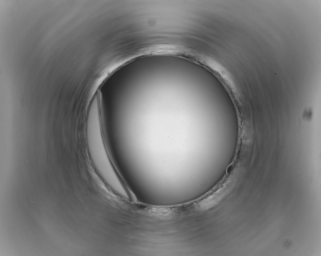 X0000091531473200709141425