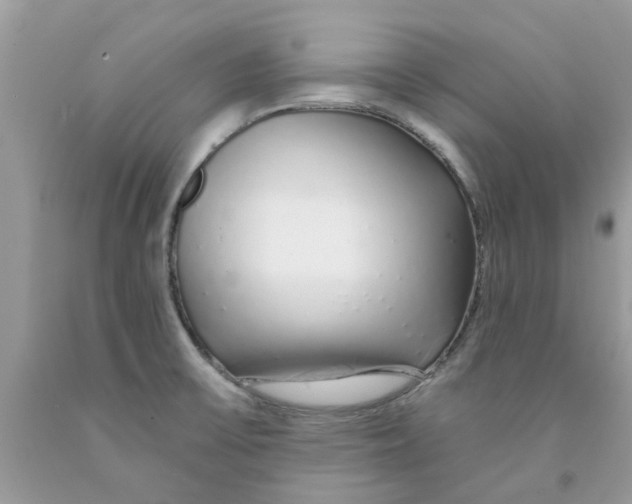 X0000091531475200709141425