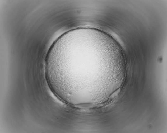 X0000091531476200709141425
