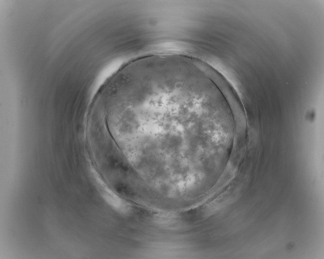 X0000091531477200709141425