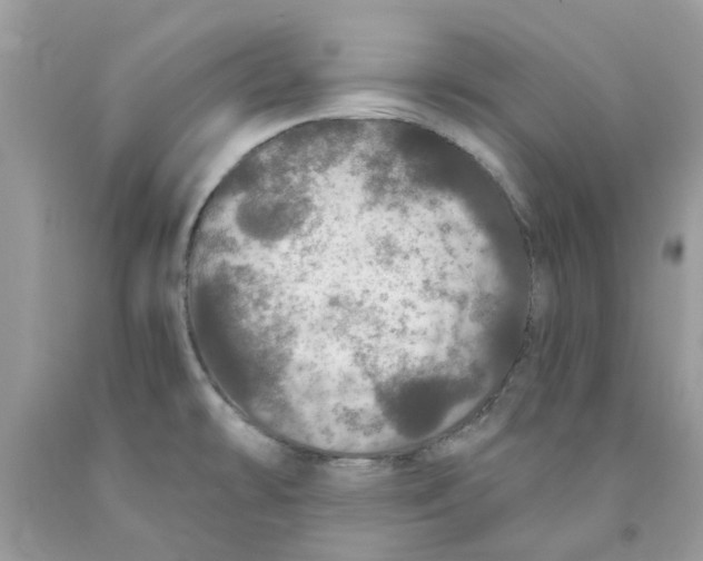 X0000091531478200709141425