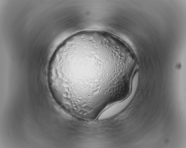 X0000091531480200709141425