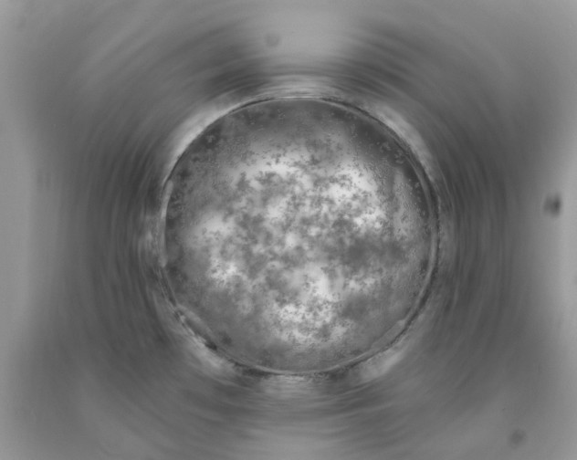 X0000091531481200709141425