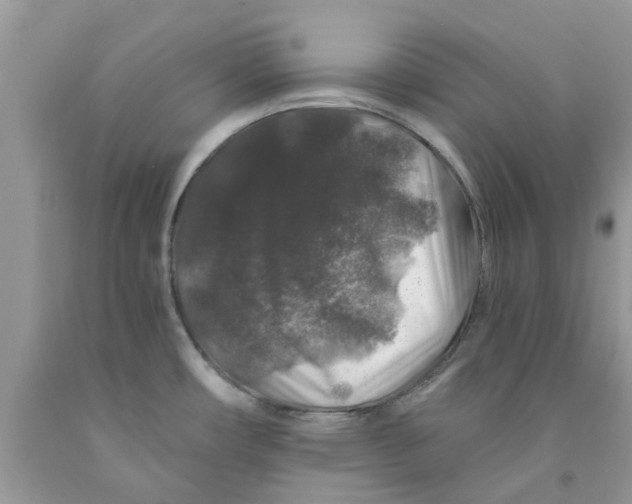 X0000091531482200709141425