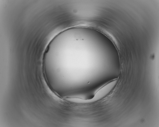 X0000091531483200709141425