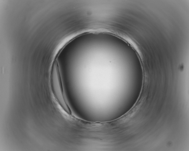 X0000091531485200709141425