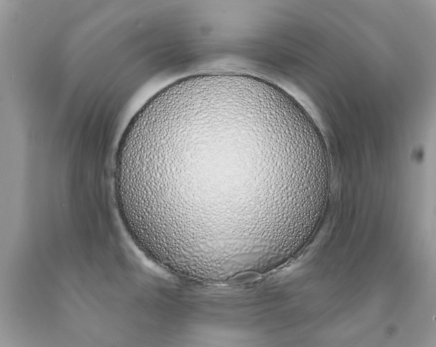 X0000091531486200709141425