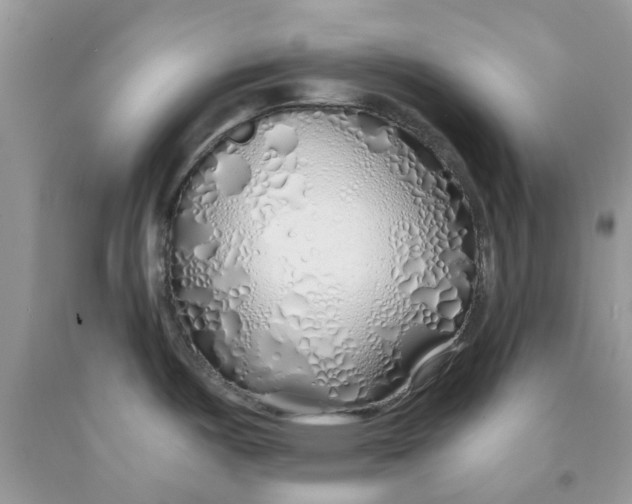 X0000091531487200709141425
