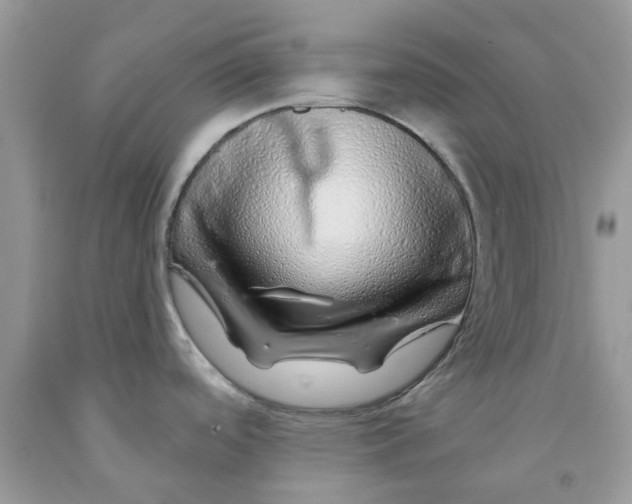 X0000091531488200709141425