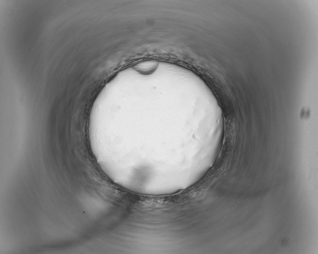 X0000091531489200709141424