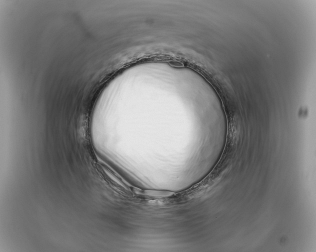 X0000091531490200709141424
