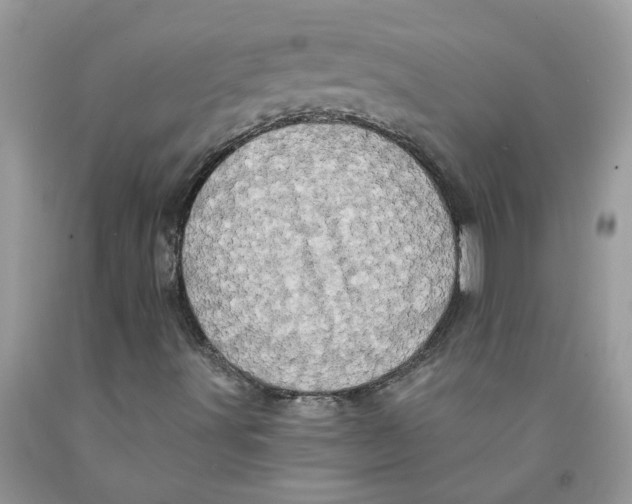 X0000091531491200709141424