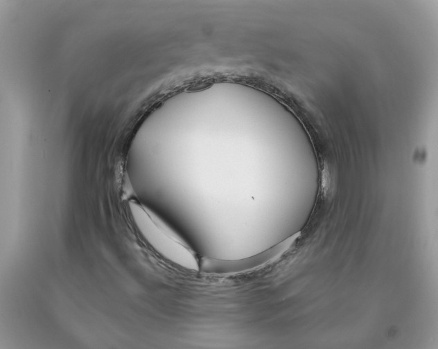 X0000091531492200709141424