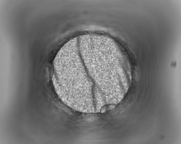 X0000091531493200709141424