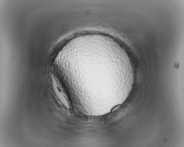 X0000091531494200709141424