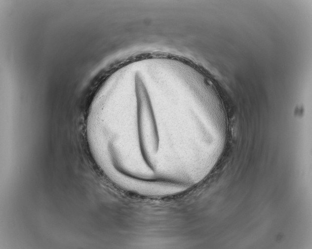 X0000091531495200709141424