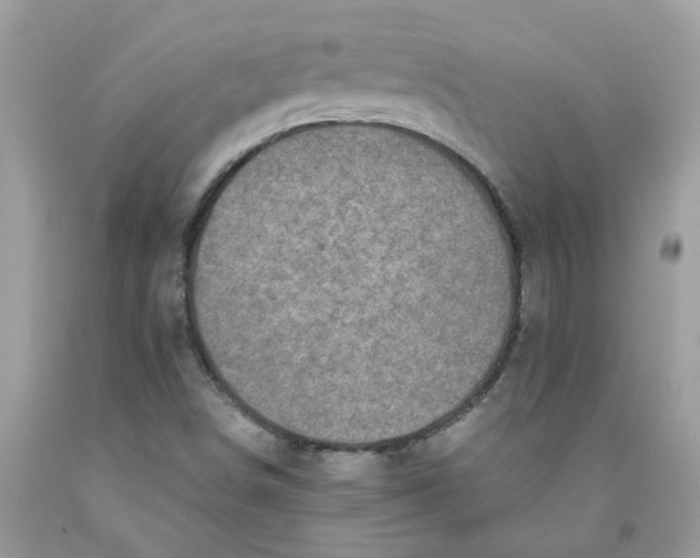 X0000091531498200709141424