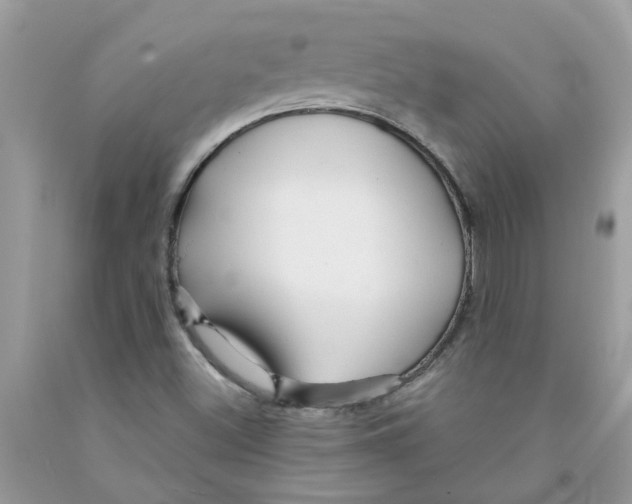 X0000091531500200709141424