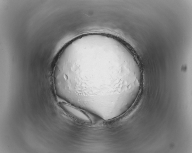 X0000091531501200709141424