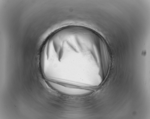 X0000091531503200709141424