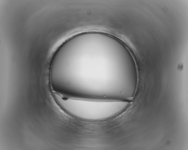 X0000091531504200709141424
