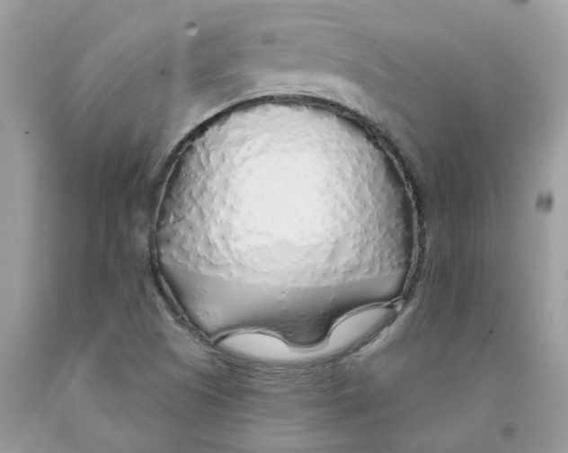 X0000091531505200709141424