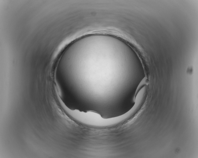 X0000091531506200709141424