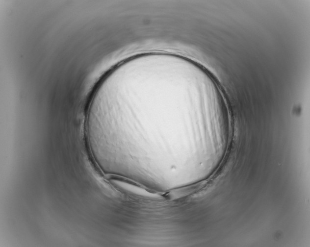 X0000091531507200709141424