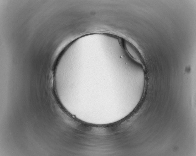 X0000091531509200709141424
