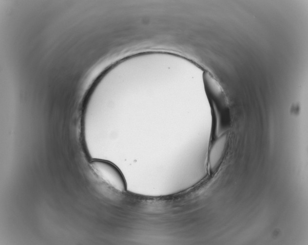 X0000091531511200709141424