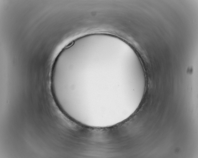 X0000091531512200709141424