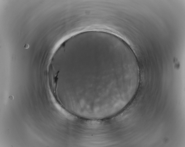 X0000091531515200709141424