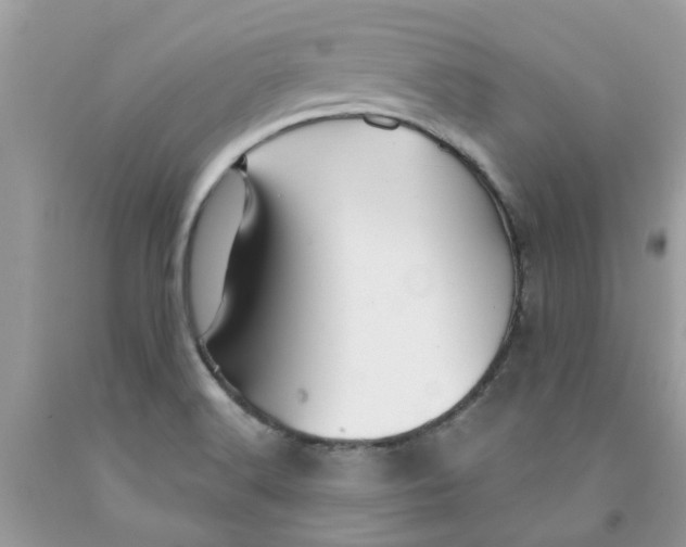 X0000091531516200709141424