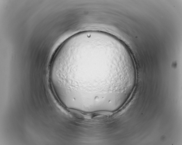 X0000091531517200709141424