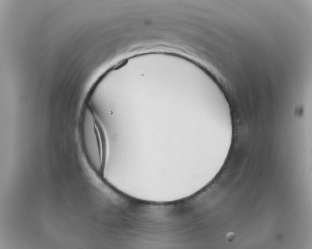 X0000091531518200709141424