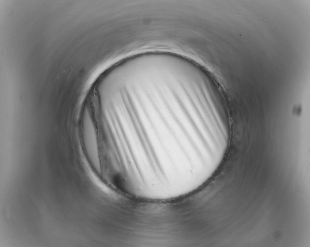 X0000091531519200709141424