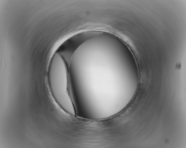 X0000091531520200709141424