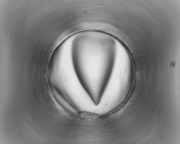 X0000091531521200709141424