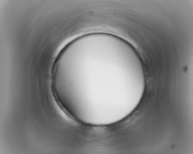 X0000091531523200709141424