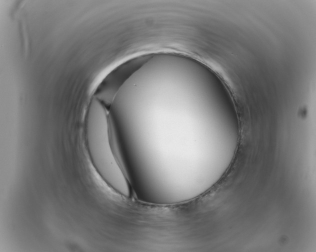 X0000091531524200709141424