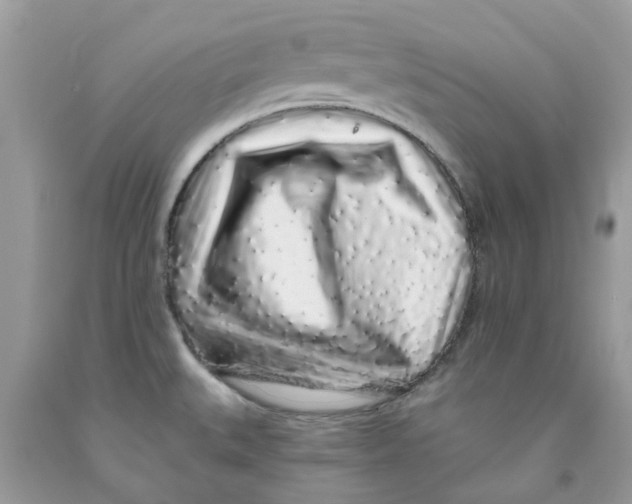 X0000091531527200709141424