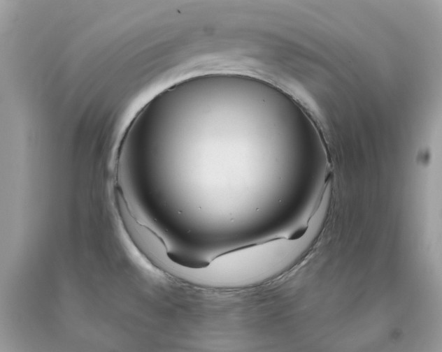 X0000091531528200709141424