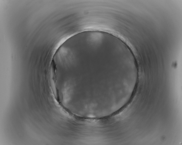 X0000091531529200709141425