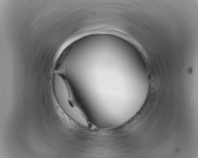 X0000091531530200709141425