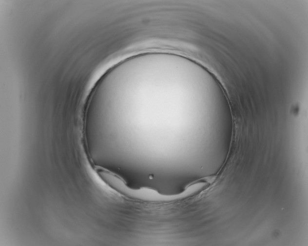 X0000091531531200709141425