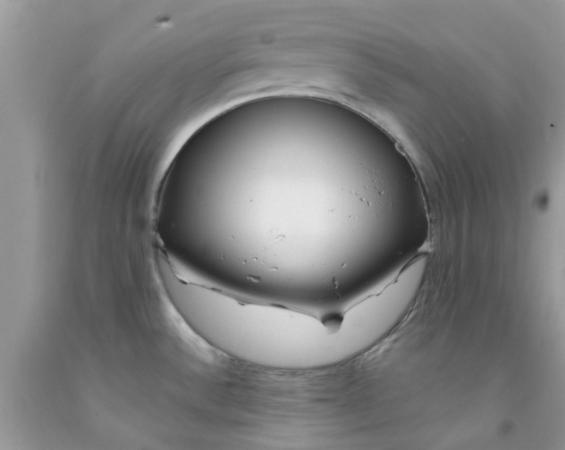 X0000091531532200709141425