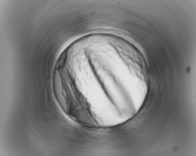 X0000091531533200709141425
